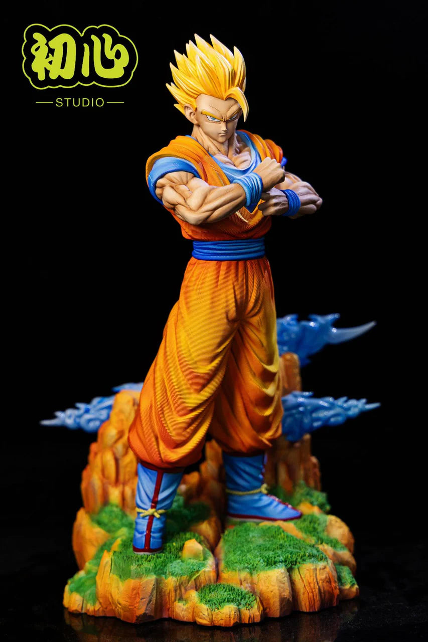 Initial Aspiration - Gohan