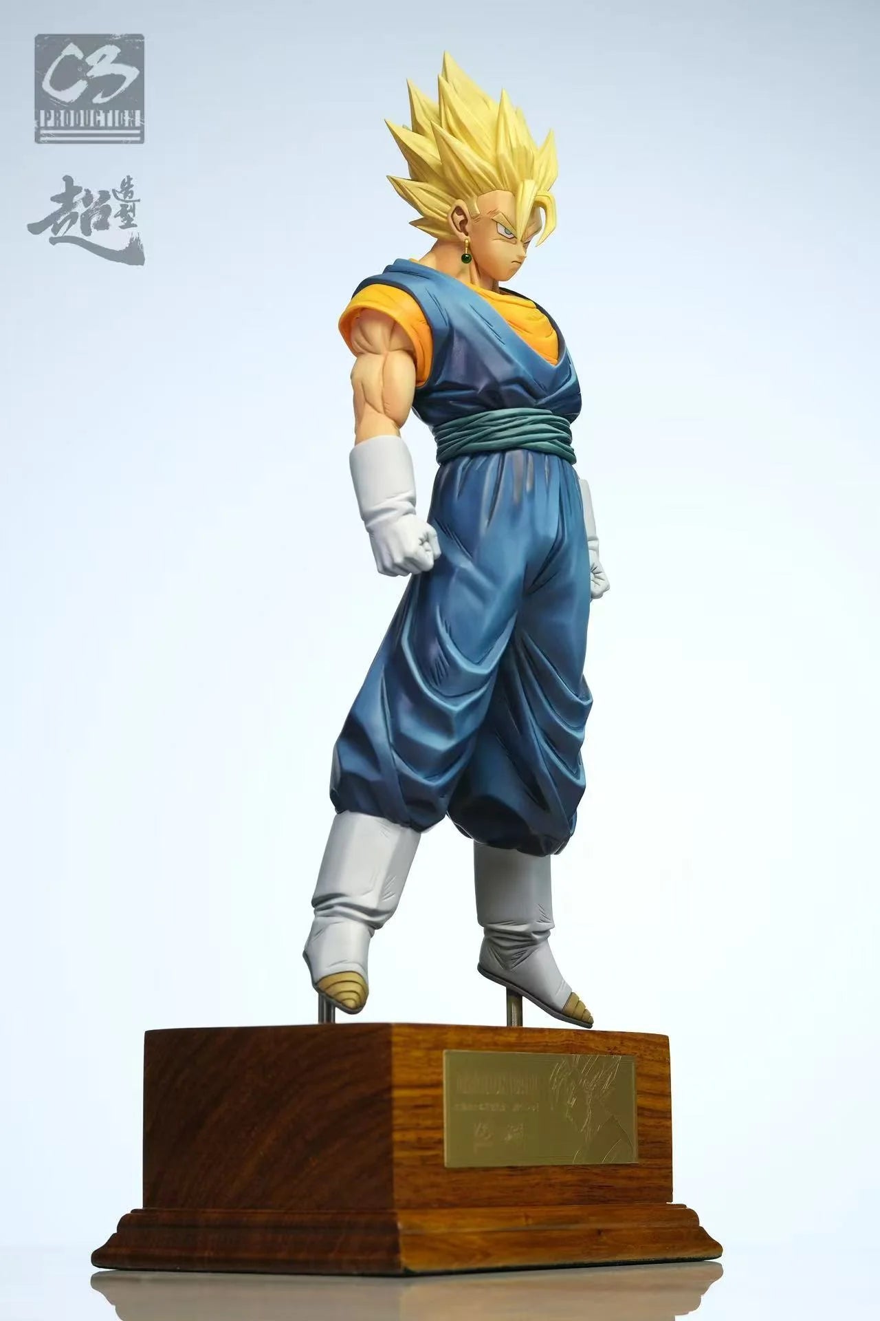 C3 - Vegito