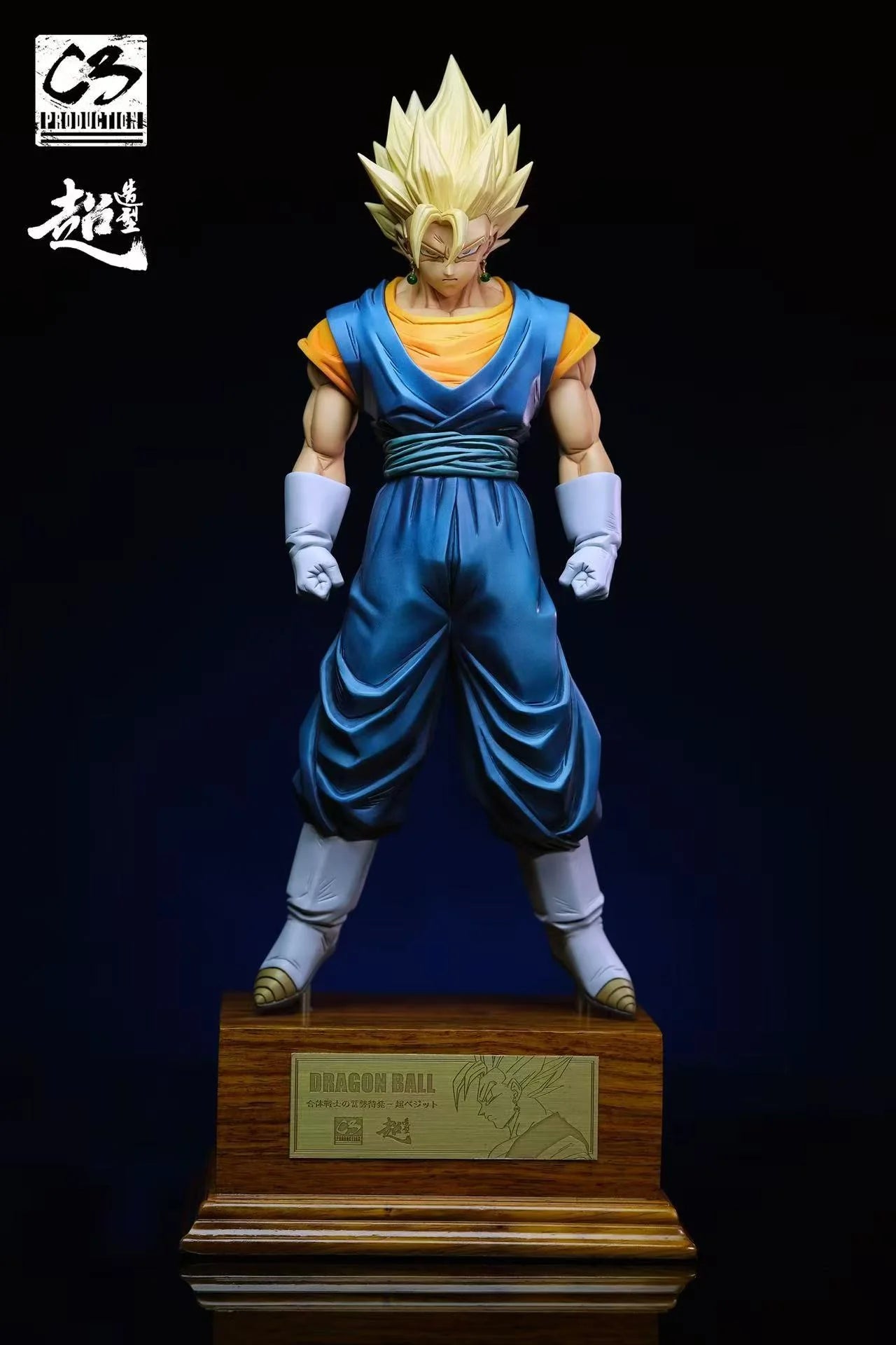C3 - Vegito