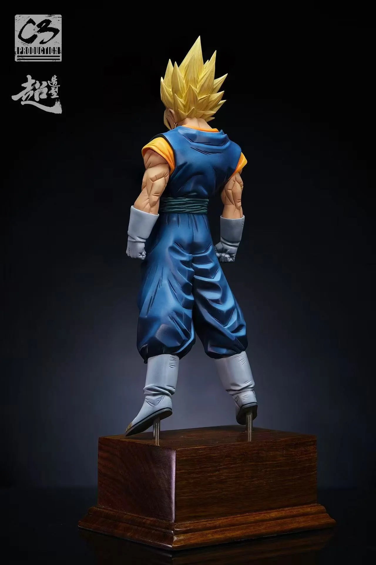 C3 - Vegito