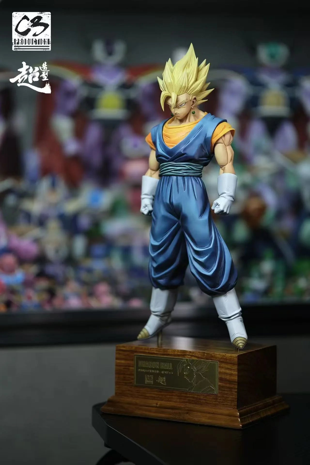 C3 - Vegito
