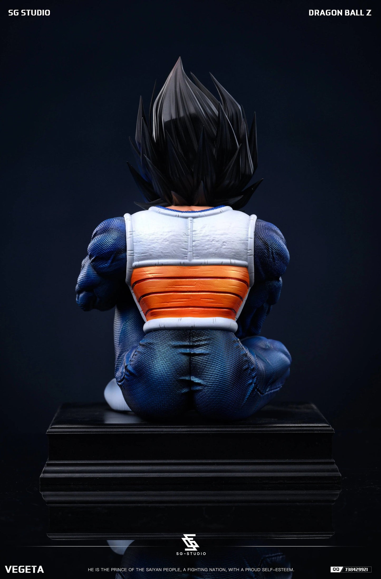SG - Vegeta
