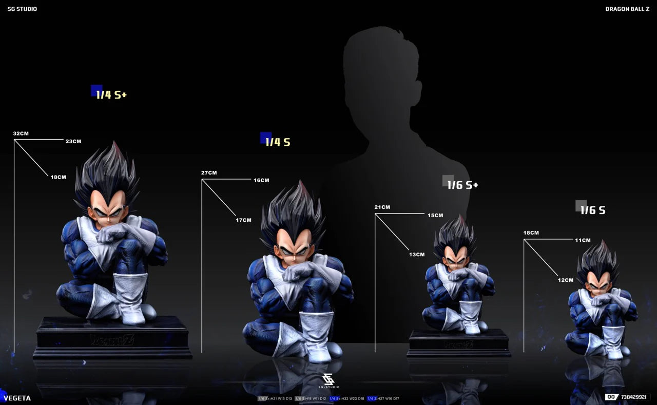 SG - Vegeta