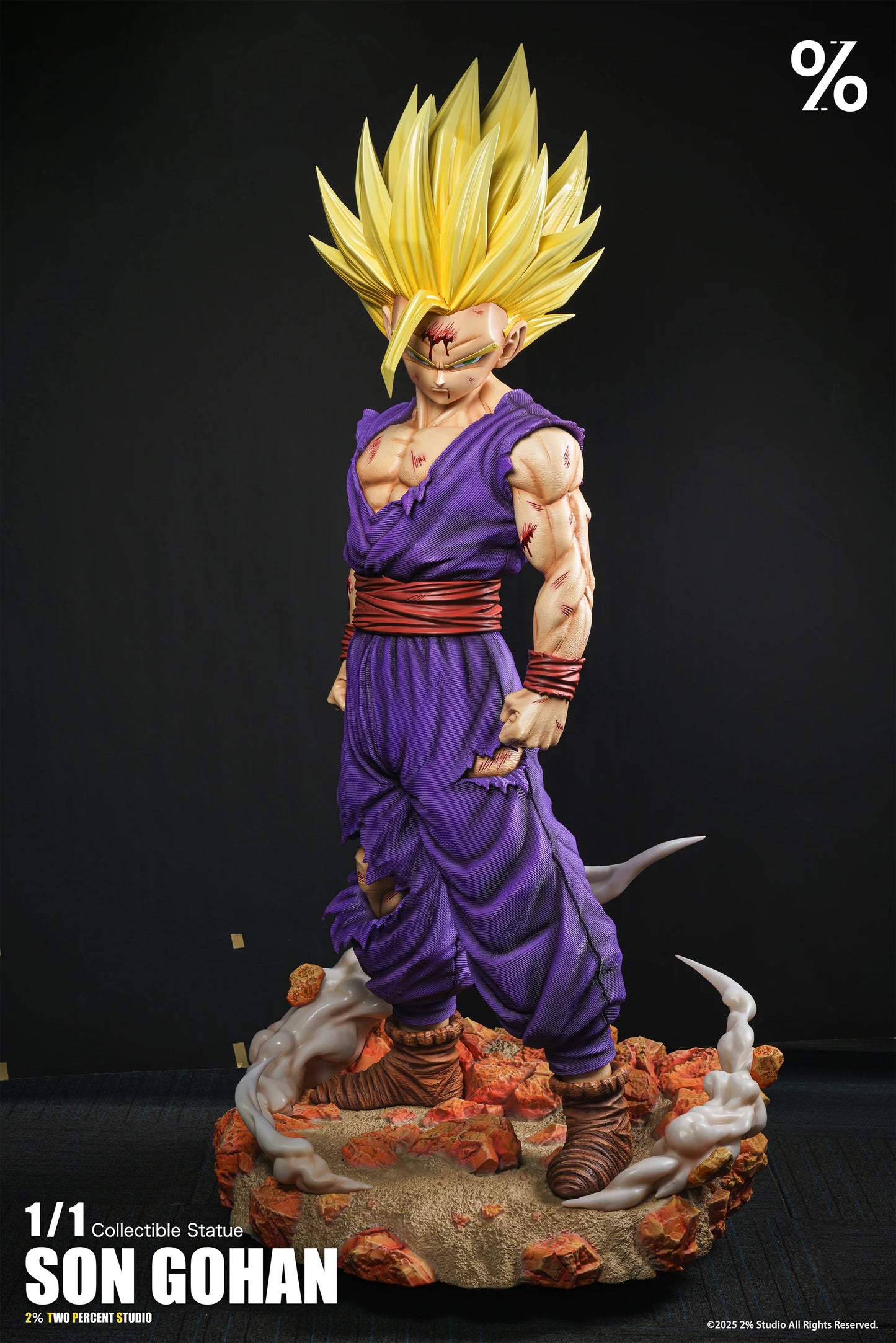 2% - SSJ2 Gohan