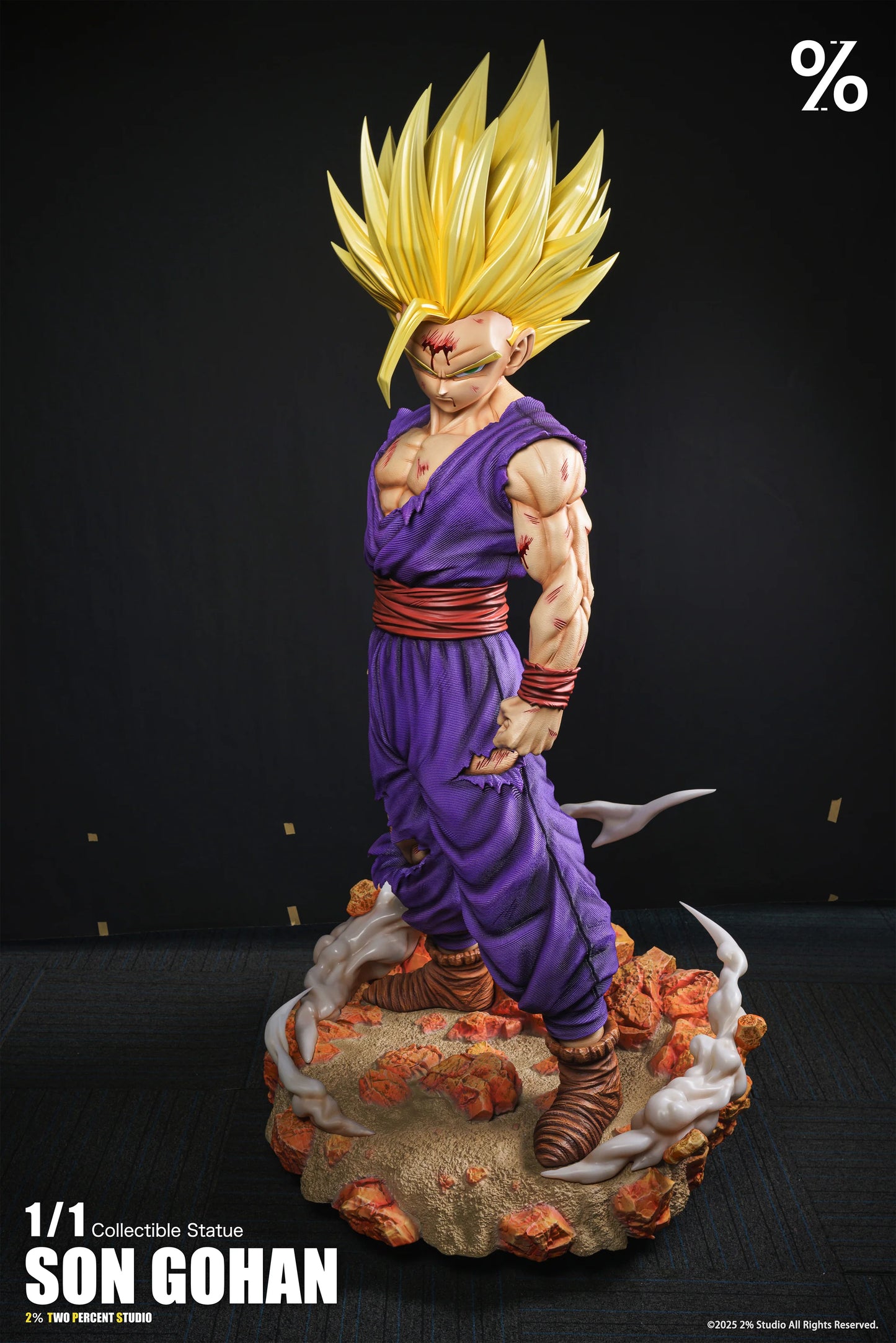 2% - SSJ2 Gohan