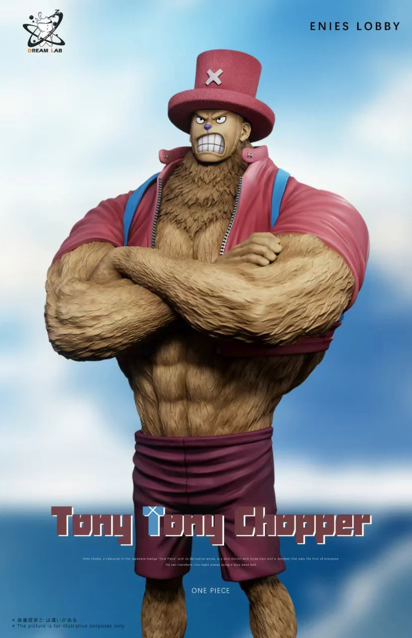 Dream Lab - Sanji and Chopper