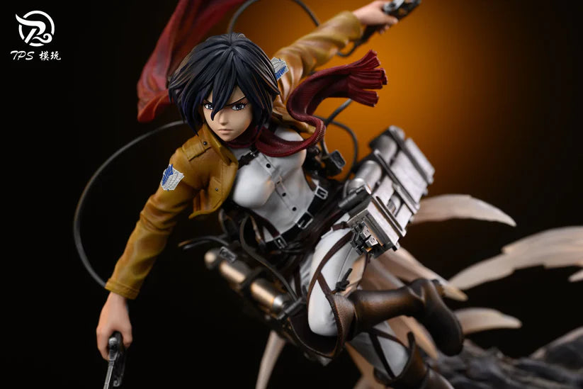 TPS-Mikasa