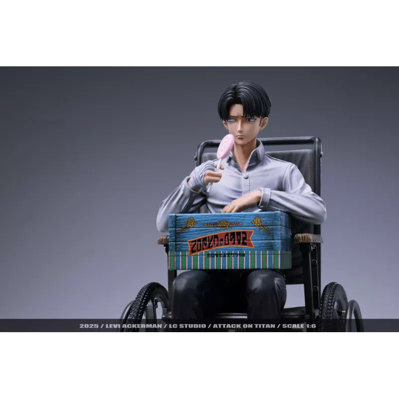 Attack on Titan Levi Ackerman Farewell LC Studio