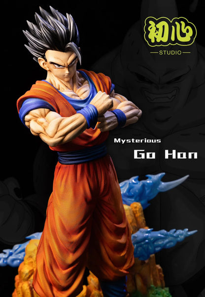 Initial Aspiration - Gohan