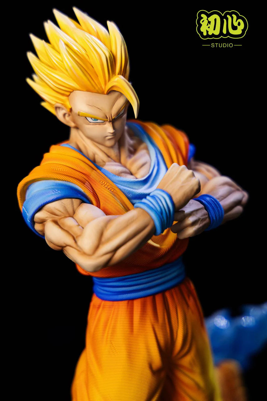 Initial Aspiration - Gohan