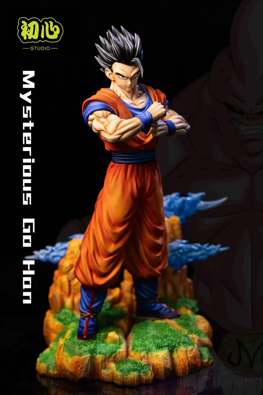 Initial Aspiration - Gohan