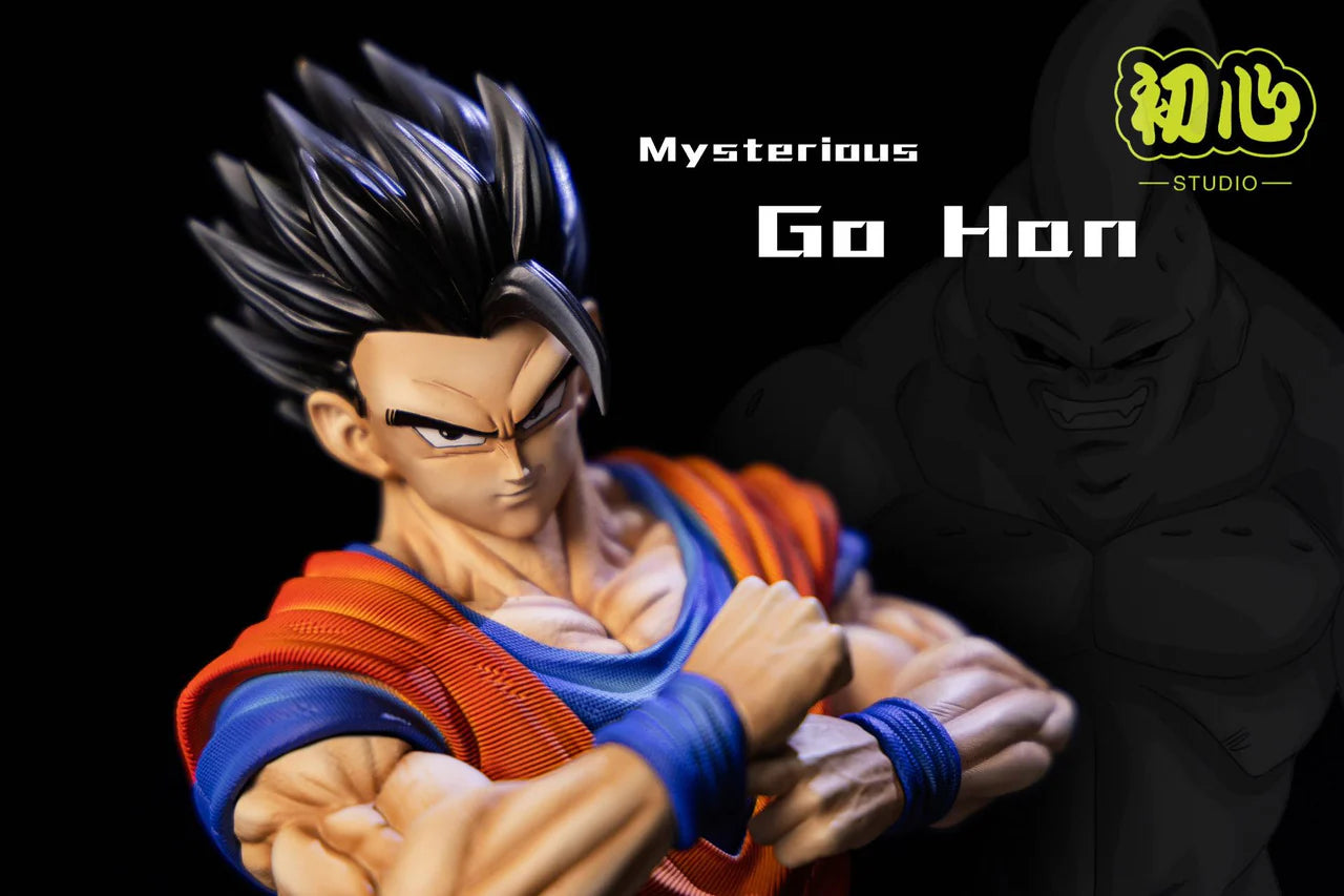 Initial Aspiration - Gohan