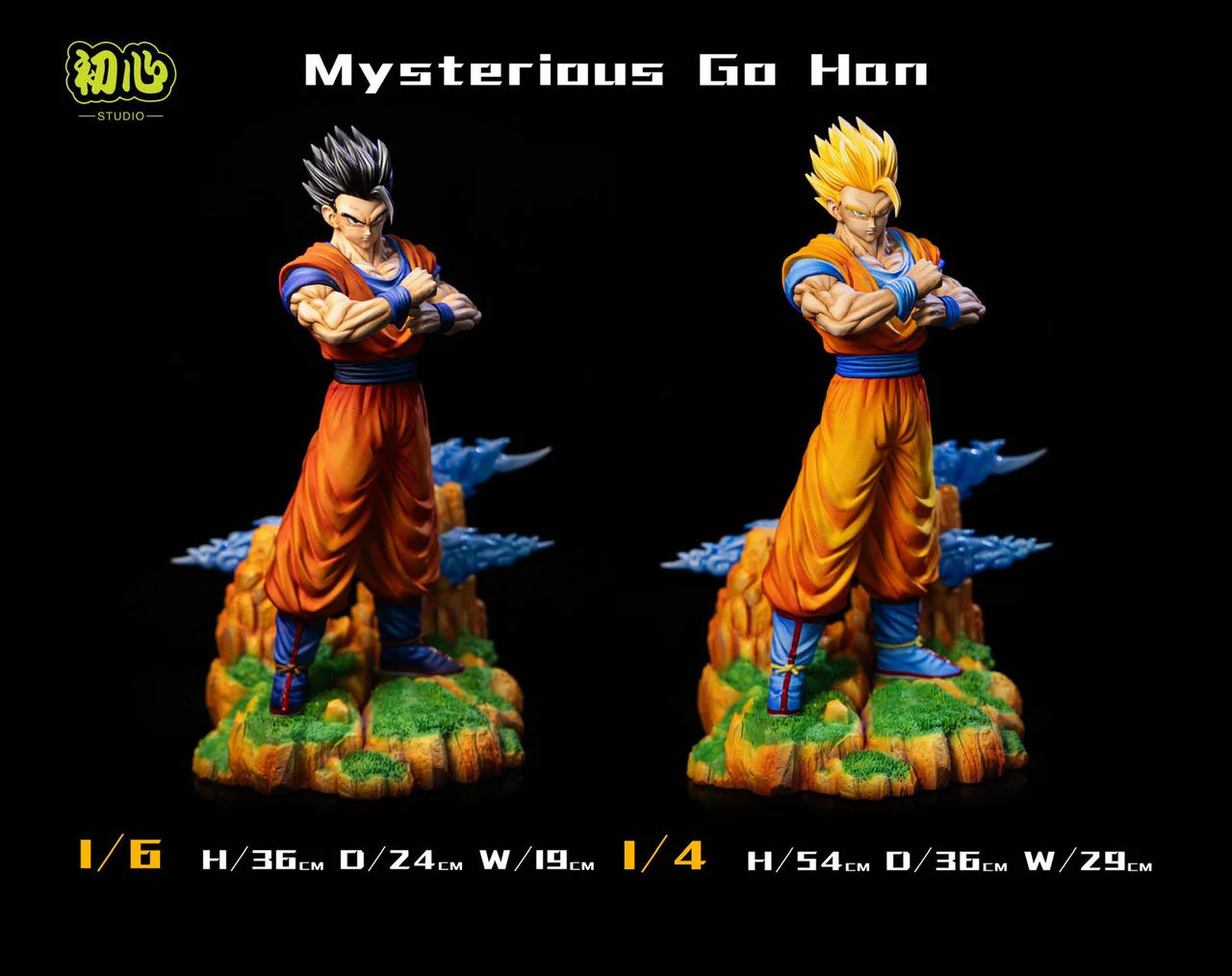 Initial Aspiration - Gohan