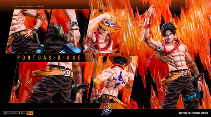 SXB - Ace