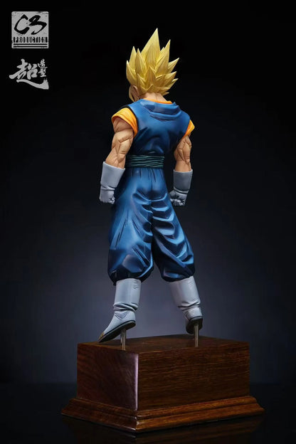 C3 - Vegito