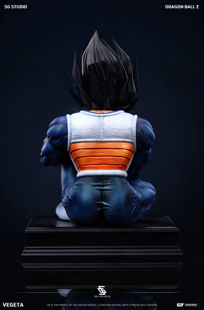 SG - Vegeta