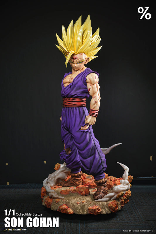 2% - SSJ2 Gohan