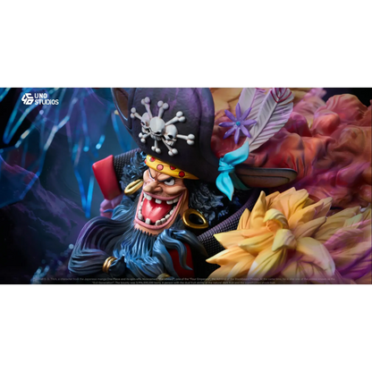 Marshall D. Teach Blackbeard UNO Studio